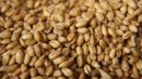 Ученые разгадали библейскую загадку о мерах зерна и воздаянии