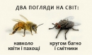 Два погляди на світ. Притча про бджолу та муху