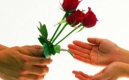 Чоловіки дарують квіти частіше, ніж цього хочуть жінки – соціологи про 8 березня