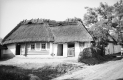 Село на Івано-Франківщині. Фото 1938 року