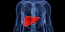 Печінка: лікувальне харчування для відновлення органу