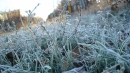 Народні методи захисту рослин від весняних заморозків