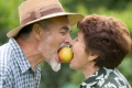 Секреты долголетия: 10 полезных советов для тех, кому за 60