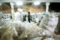 З 1 листопада у Києві зібрали 20 тонн поліетиленових пакетів на переробку