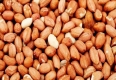 Арахіс для серця, проти інсульту й раку: 13 науково доведених фактів про користь арахісу