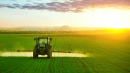ЄС планує скоротити використання пестицидів і просувати органічне фермерство