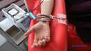 Донорство крові: пільги, гарантії та компенсації. Інфографіка