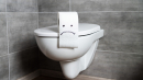 Заражение COVID-19: ученые рассказали о важных мерах предосторожности в общем туалете