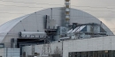 У Чорнобильській АЕС виявили грибок, який "харчується радіацію" – вчені вироблятимуть з нього ліки
