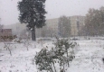 Перший сніг під Києвом: у Славутич прийшла зима