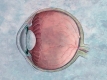 Як відновити зір без операцій
