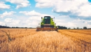 Аграрна наддержава чи країна-колонія: що чекає на Україну в майбутньому