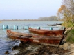 На березі волинського озера знайдено унікальний історичний експонат (ФОТО)