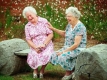 Интенсивное общение с друзьями после 60 лет помогает избежать деменции