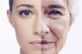 Ученые научились замедлять старение