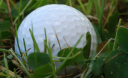 Health officials recommend golf for older Kiwis