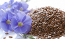 Рецепты народной медицины: лечимся семенами льна
