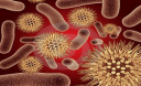 Чим бактерії відрізняються від вірусів