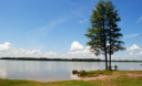 Шацькі озера: 7 дивовижних перлин Шацького національного природного парку