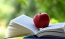 12 книжок серпня: Небесна сотня, Оленіада і повидло з яблук