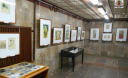 У Кіровограді відкрилася виставка художників-ветеранів