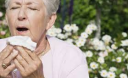 Весняна алергія: причини та симптоми