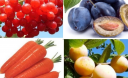 Різнокольорові овочі-фрукти лікують організм