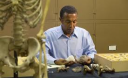 В Ефіопії знайшли новий вид предків людини