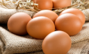 Як перевірити якість яєць і вибрати свіжі?