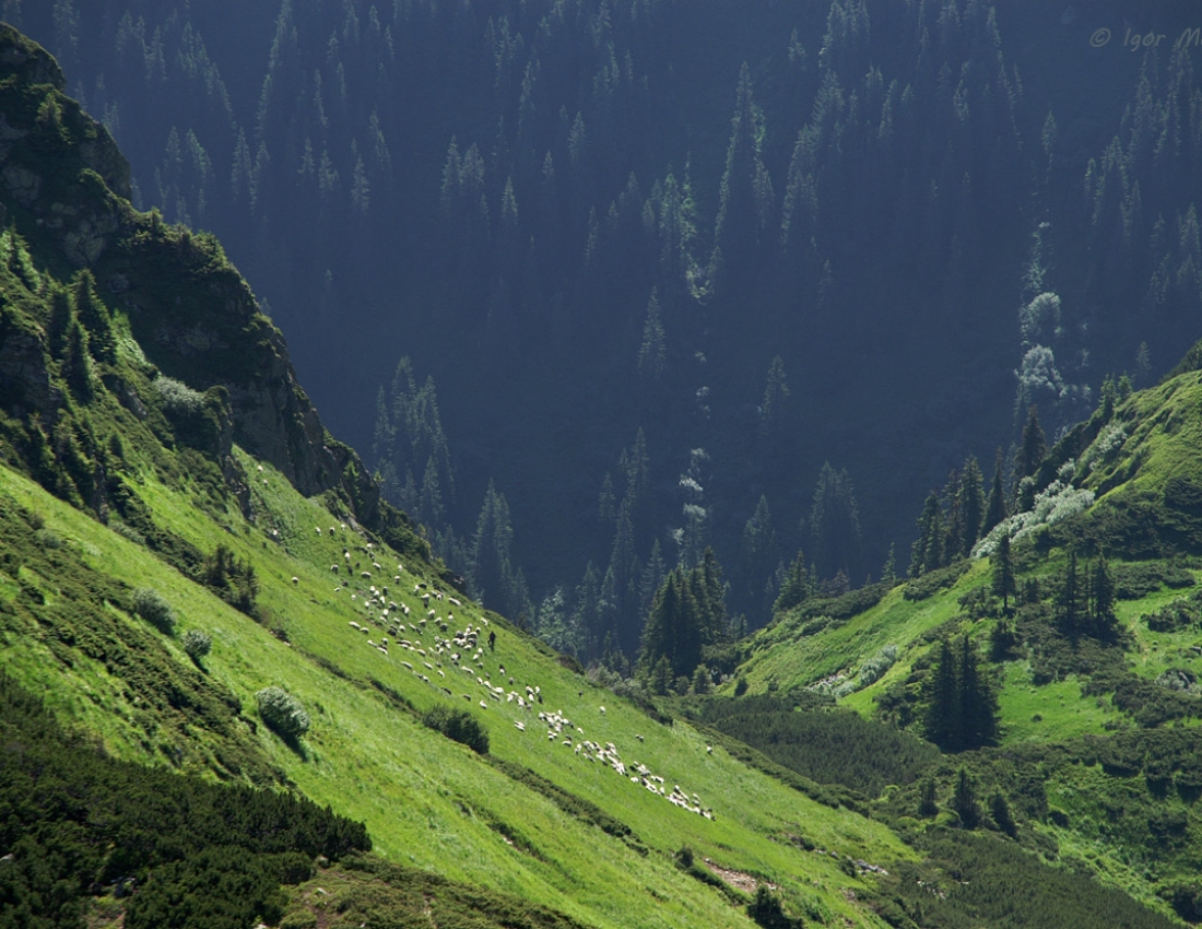 Mountain landscapes: Breathtaking journey...