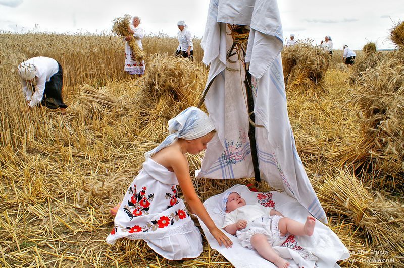 Жнива:українські традиції збору урожаю