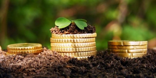 Не всі пенсіонери мають пільгу на сплату земельного податку