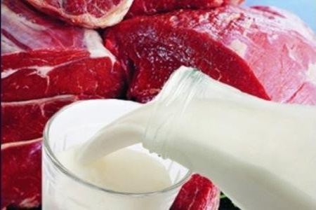 Продукты, которые могут вызвать гормональный дисбаланс Продукты, которые могут вызвать гормональный дисбаланс