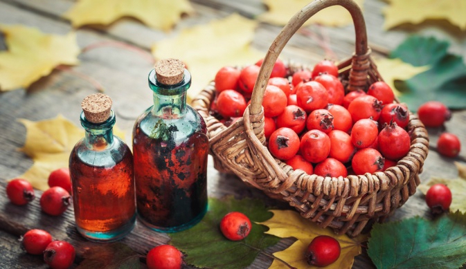 Боярышник: чем плоды помогут здоровью осенью?