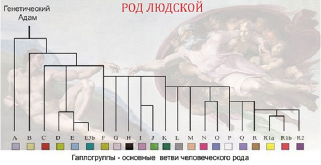 Американские генетики установили - русские и украинцы не являются братьями по крови