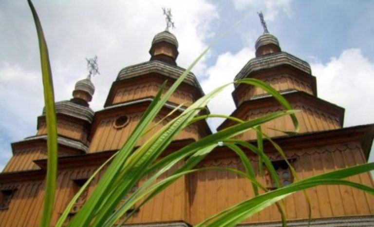 Лепеха, шувар, татар-зілля: як у народі називають аїр