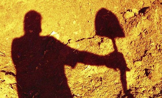 Как узнать, какая почва на вашем участке