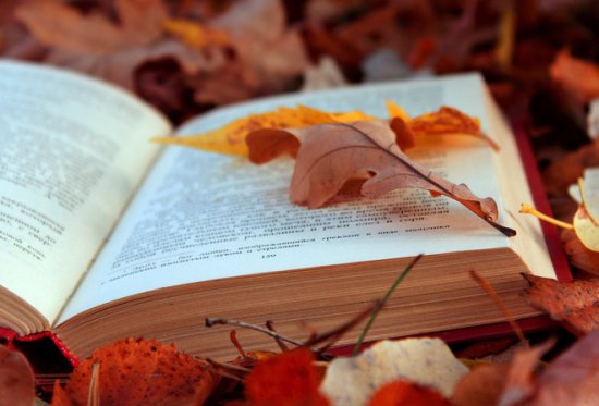 Книги, які обов'язково слід прочитати цієї осені Книги, які обов'язково слід прочитати цієї осені