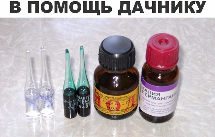 Эта полезная химия должна быть у каждого дачника под рукой
