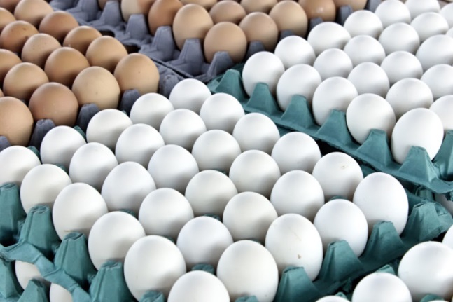 Чем отличаются коричневые яйца от белых. И еще 9 фактов о яйцах