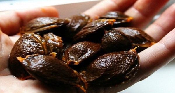 Витамин B17 запрещен, потому что он лечит рак! Витамин B17 запрещен, потому что он лечит рак!