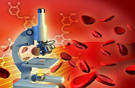 Биохимический анализ крови: расшифровка без помощи специалиста