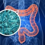 Хочешь укрепить здоровье? Начни с кишечника! Хочешь укрепить здоровье? Начни с кишечника!