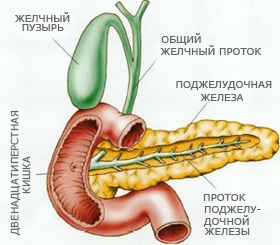 6 симптомів проблем підшлункової залози