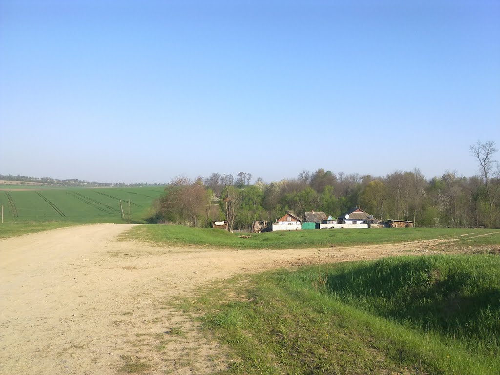 Село, де кожен – бізнесмен