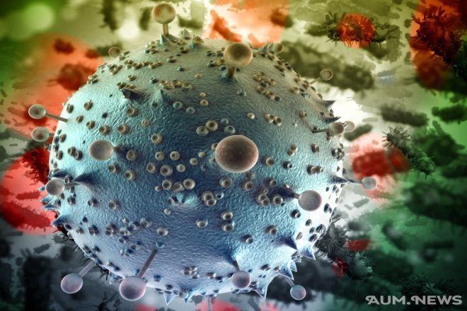 Если хотите, чтобы Ваш организм был свободен от грибов, не кормите их Если хотите, чтобы Ваш организм был свободен от грибов, не кормите их