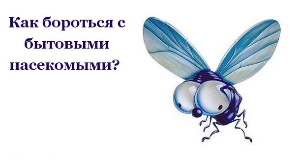 Как бороться с бытовыми насекомыми самостоятельно