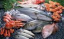 Медики радять вживати морепродукти людям похилого віку