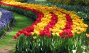 Завтра в Киеве на Певческом поле откроется выставка тюльпанов