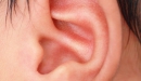 Про що розповість колір і форма вушної раковини Про що розповість колір і форма вушної раковини